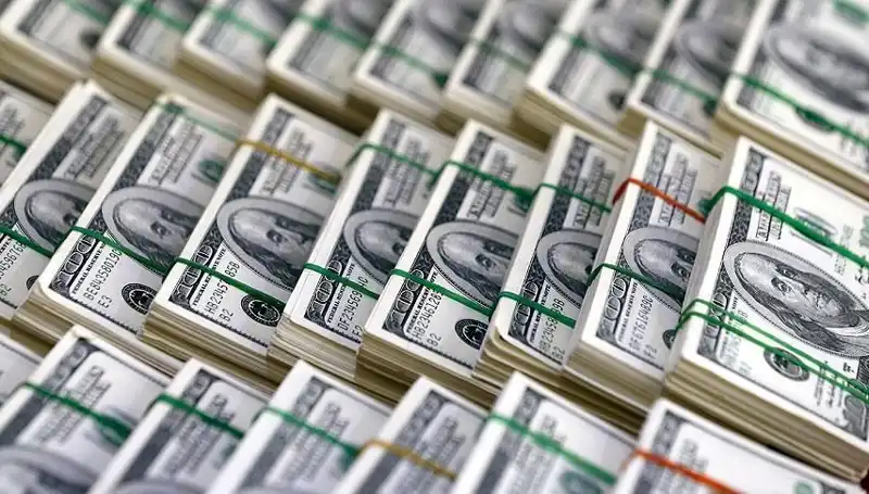 Doların Yükselişi İçin Hızla Akılcı Önlemler Alınmalı