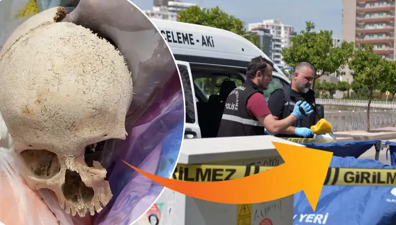 Sitenin Çöpünden Çıkan Kafatasının Gizemi: Uzman Doktor Tutuklandı!
