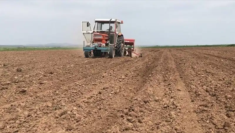 Kuraklık Alarmı: Son 35 Yılın En Kuru Mart Ayı Geçirildi