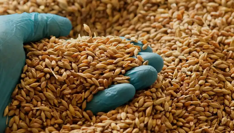 Kalp Sağlığınızı Koruyun: Beslenme ile Riskleri Azaltmanın Yolları