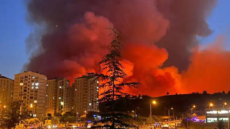 Bursa'da Yangın Alarmları: Şehir Alev Alev, Tedbirler Artıyor!