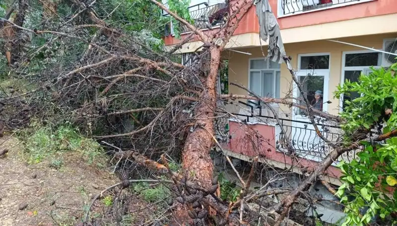 Yağmurun Gücüyle Yerle Bir Olan Bina: Olayın Ardındaki Gerçekler