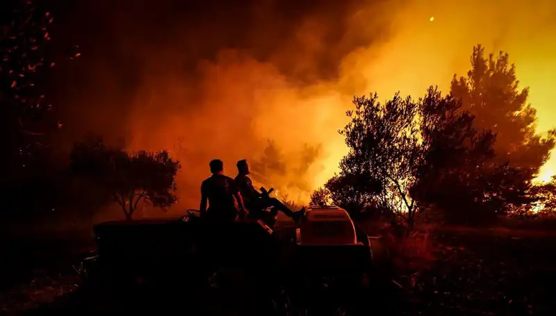 Çanakkale'de Orman Yangını: 785 Kişi Tahliye Edildi, İlgili Kurumlar Seferber Oldu