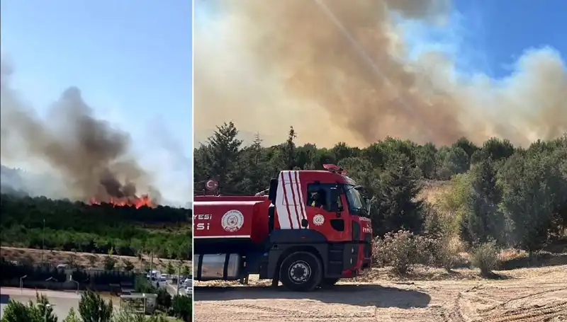 Gebze'de Orman Yangını: İzmir ile Beraber Türkiye'nin Yeşil Alanlarını Tehdit Ediyor