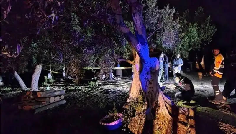 Çiftlikte Baltalı Vahşete Yürütülen Soruşturmada İlk Tutuklama Gerçekleşti