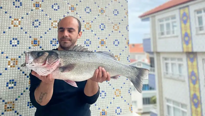 7,5 Kiloluk Dev Levrek, Balıkçıların Fazlasıyla Dikkatini Çekti