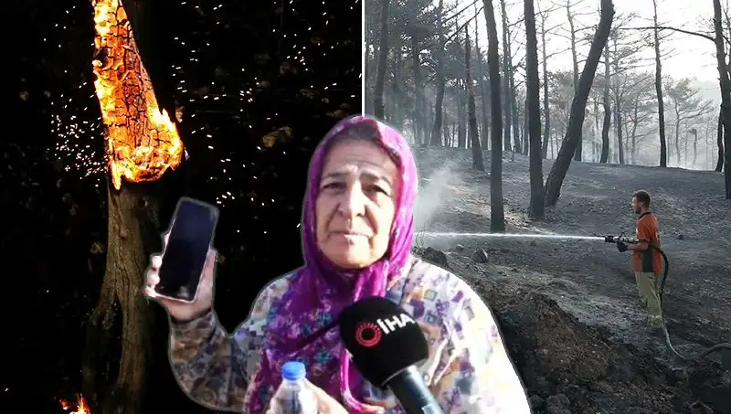 Çanakkale Orman Yangınları Kontrol Altına Alındı: Kurtarma Hikayeleri