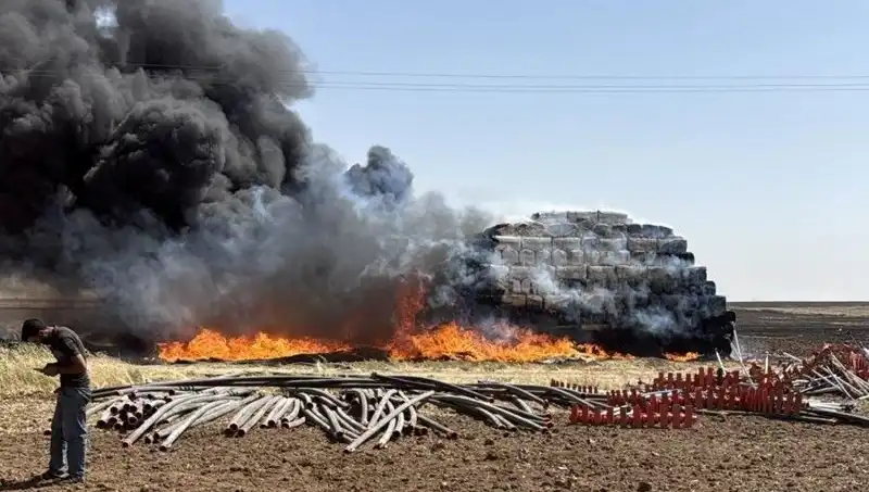 Mardin'de Anız Yangınları: Tarım Arazilerinde Büyük Tehlike