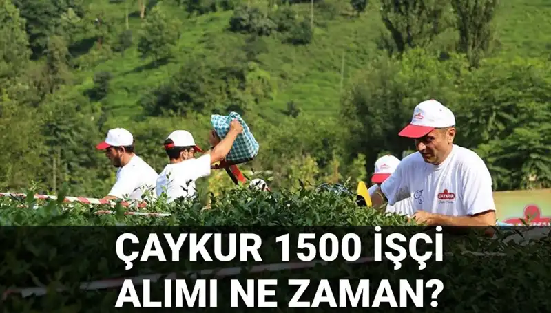 Çaykur İşçi Alımında Son Gelişmeler: Başvuru Tarihleri Açıklandı!