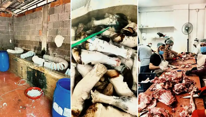 Adana'da İğrenç Olay: Yüzlerce Kilo Paça Ele Geçirildi!