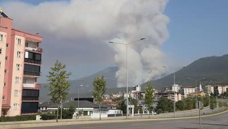 Denizli'de Orman Yangını Meydana Geldi: Bir Kişi Gözaltına Alındı