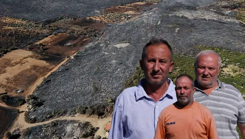 Çeşme Yangını: Alevler İçinde Kalan Hayatlar ve Yıkımın Gizli Yüzü
