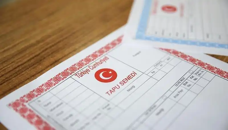 100 Milyonluk Yolsuzluk Skandalı: Hisseli Tapu Dolandırıcılığı Ortaya Çıktı