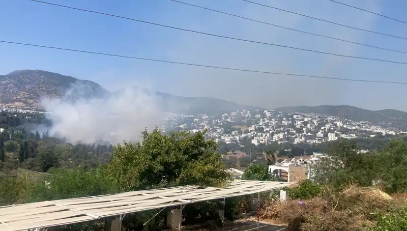 Muğla Orman Yangınları Kontrol Altında: İyileşme Süreci Başladı