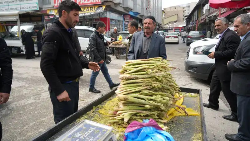 Dağlık Arazilerden Toplanan Şekerin Sağlık Üzerindeki Faydaları Neler?